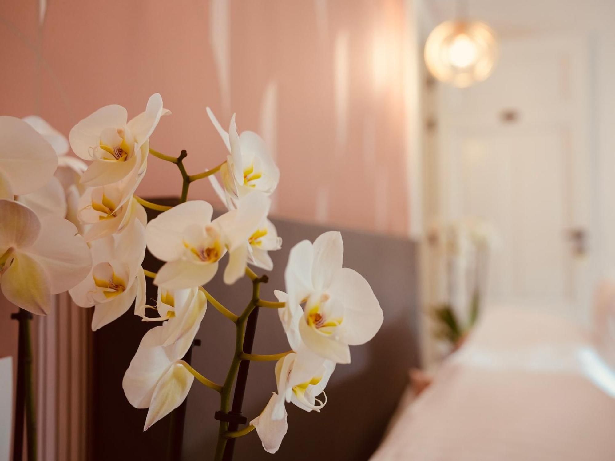 L'Amarante Chambres D'Hotes Ou Gite Citadin 特镇 外观 照片