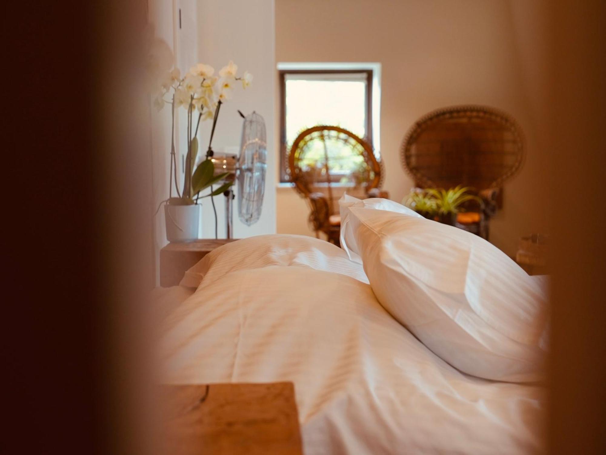 L'Amarante Chambres D'Hotes Ou Gite Citadin 特镇 外观 照片