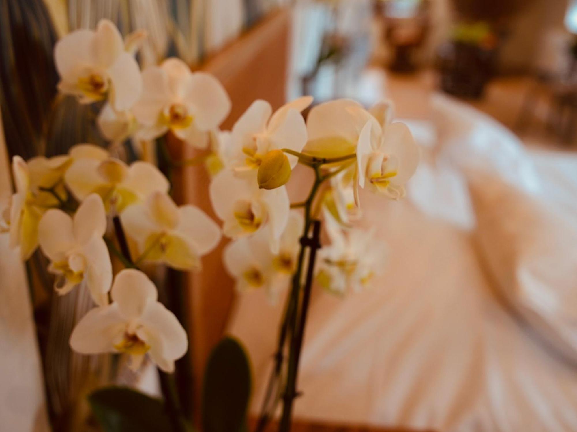 L'Amarante Chambres D'Hotes Ou Gite Citadin 特镇 外观 照片